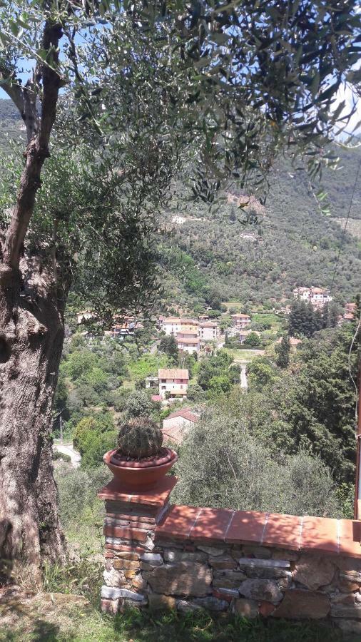 Il Colle Di Abramo Casa Vacanze Enrica Пиетрасанта Екстериор снимка