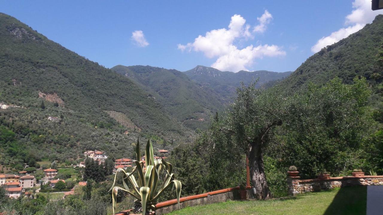 Il Colle Di Abramo Casa Vacanze Enrica Пиетрасанта Екстериор снимка